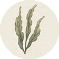 Gallery icon