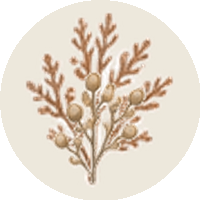 Home icon