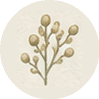 RSVP icon