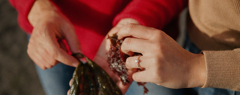Close-up of Caitie and Liam's hands sorting through fresh seaweed on the beach